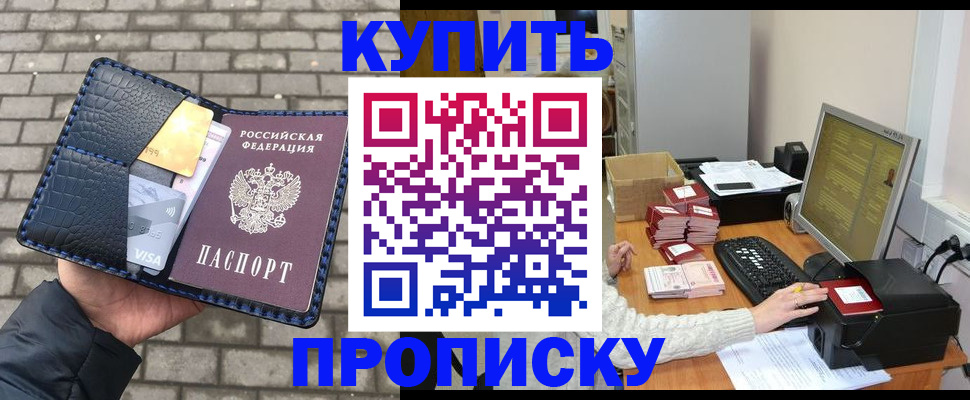 где прописаться в Дмитрове